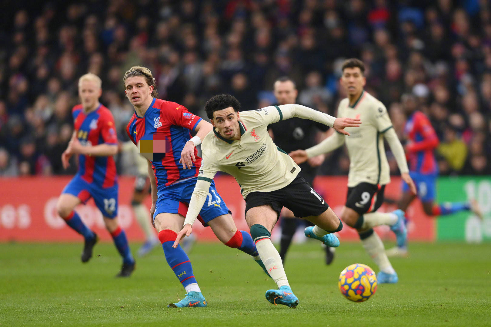 成长为亚洲 成长为亚洲